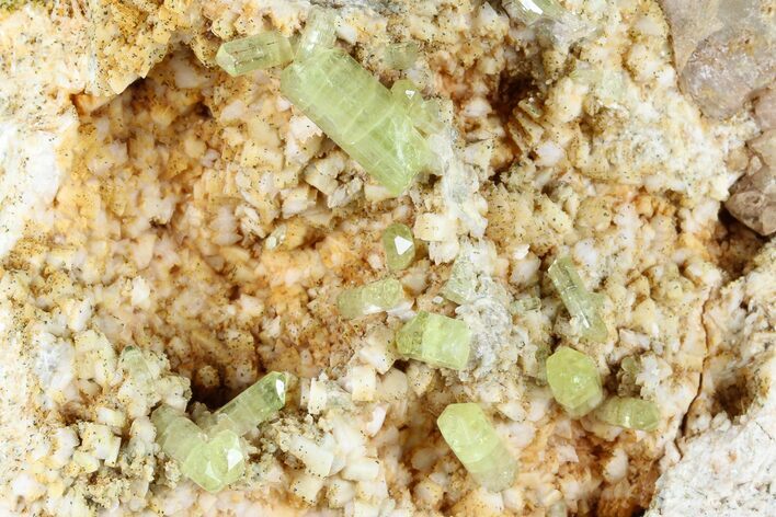 Lustrous, Yellow Apatite Crystals on Feldspar - Morocco #185475